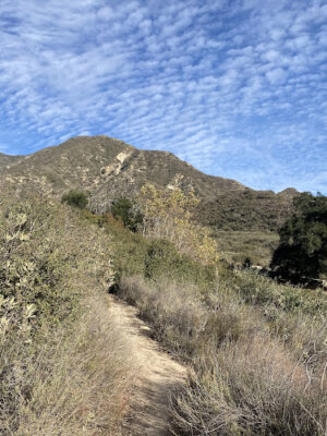 Deukmejian Wilderness Park Open Field