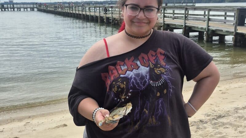 Gloucester Point Beach Park - Gloucester Point, VA