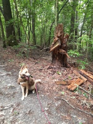 Beaverdam Park - Gloucester, VA