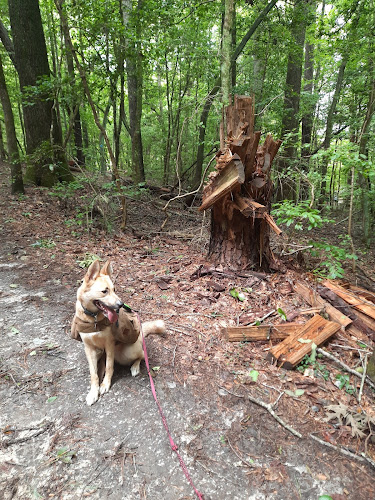 Beaverdam Park