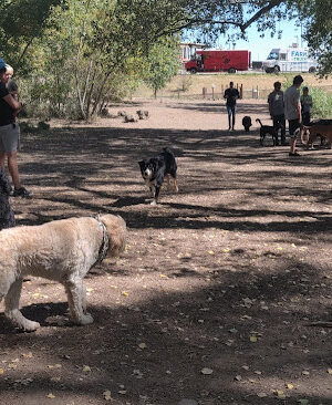 Tony Grampsas Dog Park