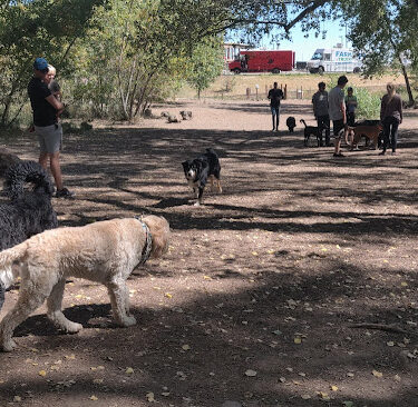 Tony Grampsas Dog Park