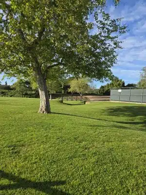 Evergreen Park