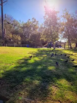 Evergreen Park