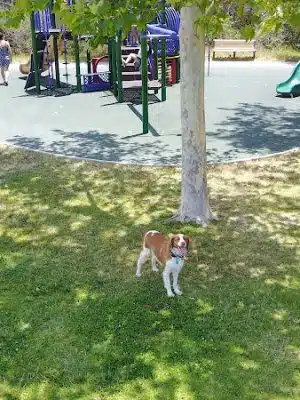 Evergreen Park