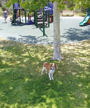 Evergreen Park