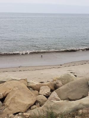 Goleta Beach Park