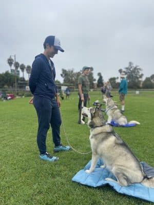 Goleta Valley Dog Club