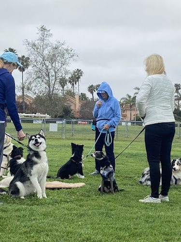 Goleta Valley Dog Club