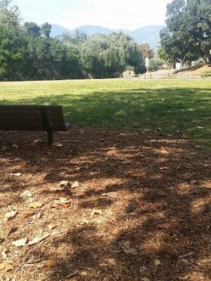 Lassen Open Space