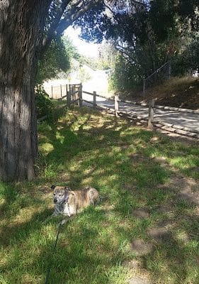 Lassen Open Space