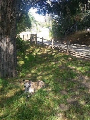 Lassen Open Space