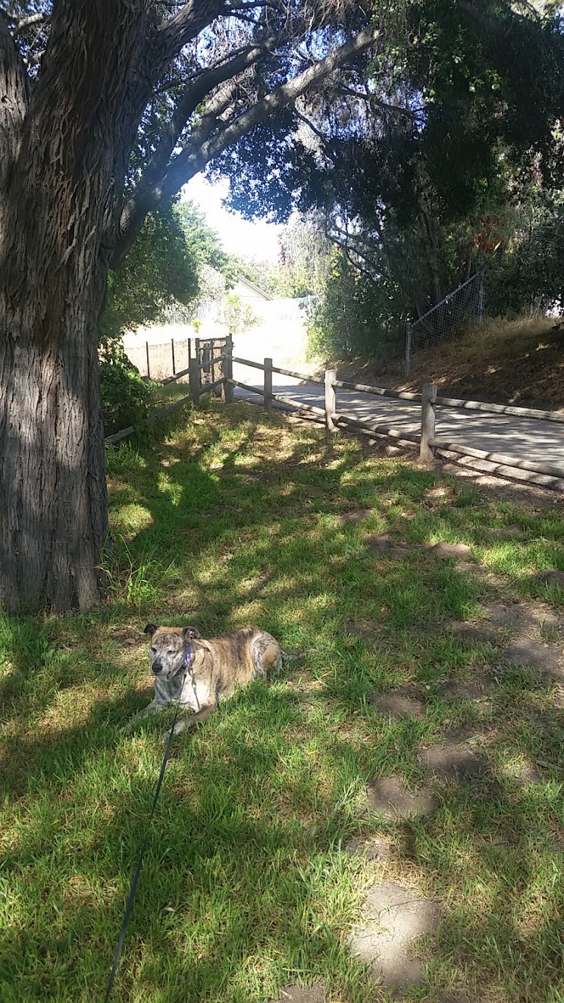 Lassen Open Space - Goleta, CA