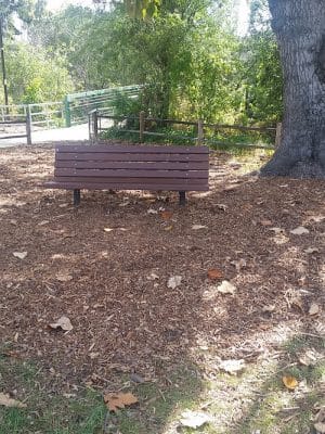 Lassen Open Space