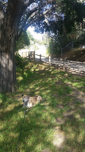 Lassen Open Space