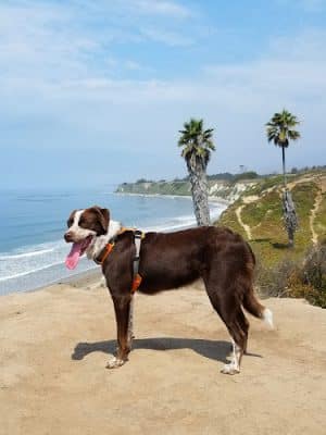Santa Barbara Shores Park