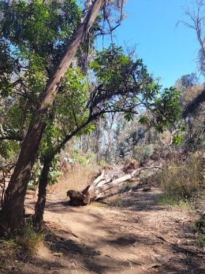 Santa Barbara Shores Park