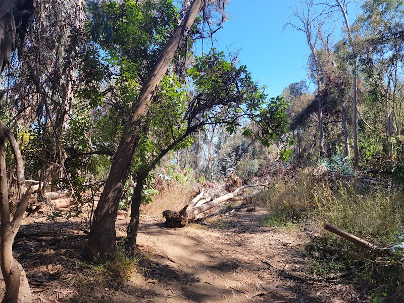 Santa Barbara Shores Park - Goleta, CA