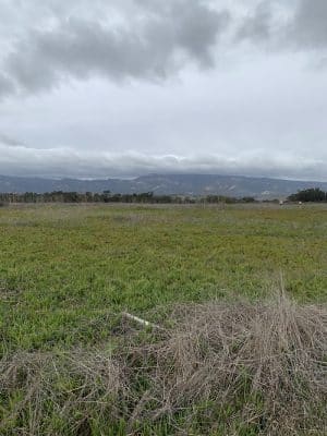 Santa Barbara Shores Park