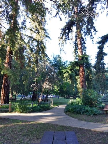 Stow Grove Park