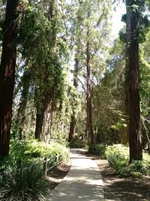 Stow Grove Park
