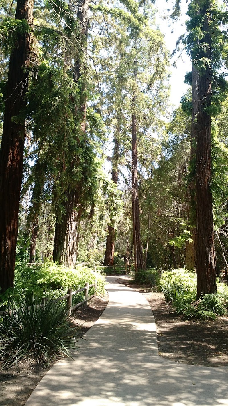 Stow Grove Park - Goleta, CA