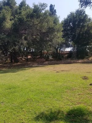 Tarragona Open Space