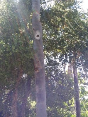 Tarragona Open Space