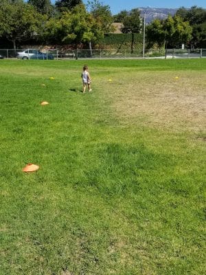 Winchester II Open Space