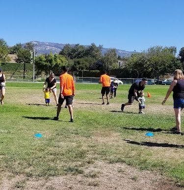 Winchester II Open Space