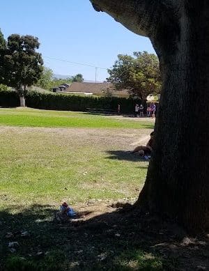 Winchester II Open Space