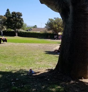 Winchester II Open Space
