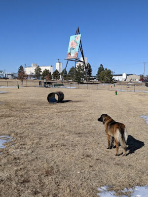 Pioneer Dog Park