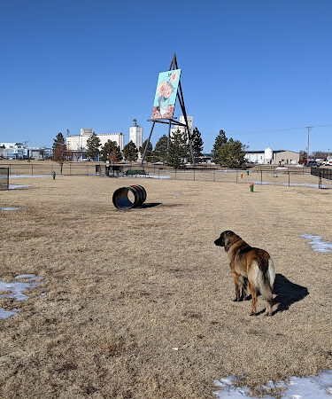 Pioneer Dog Park