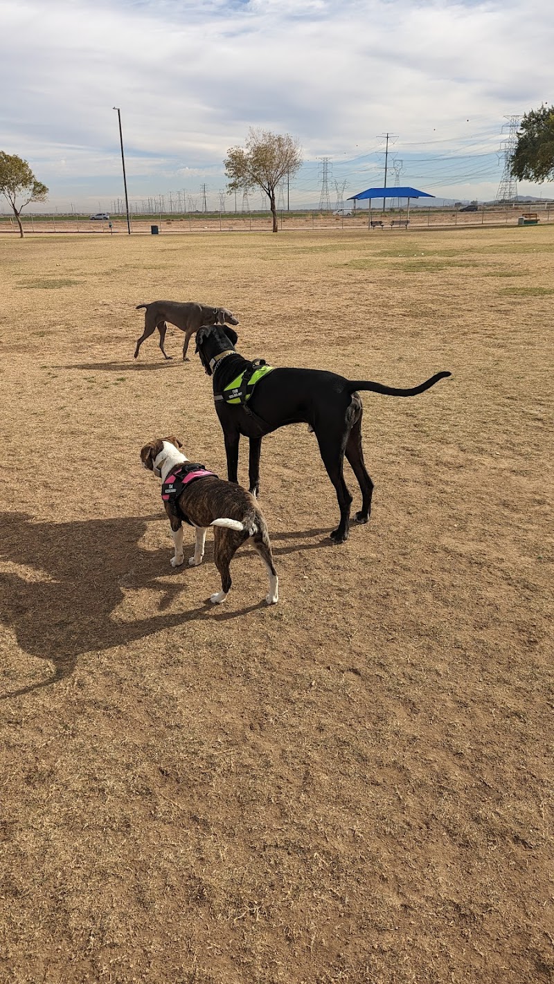 Roscoe, Goodyear, Dog Park - Goodyear, AZ