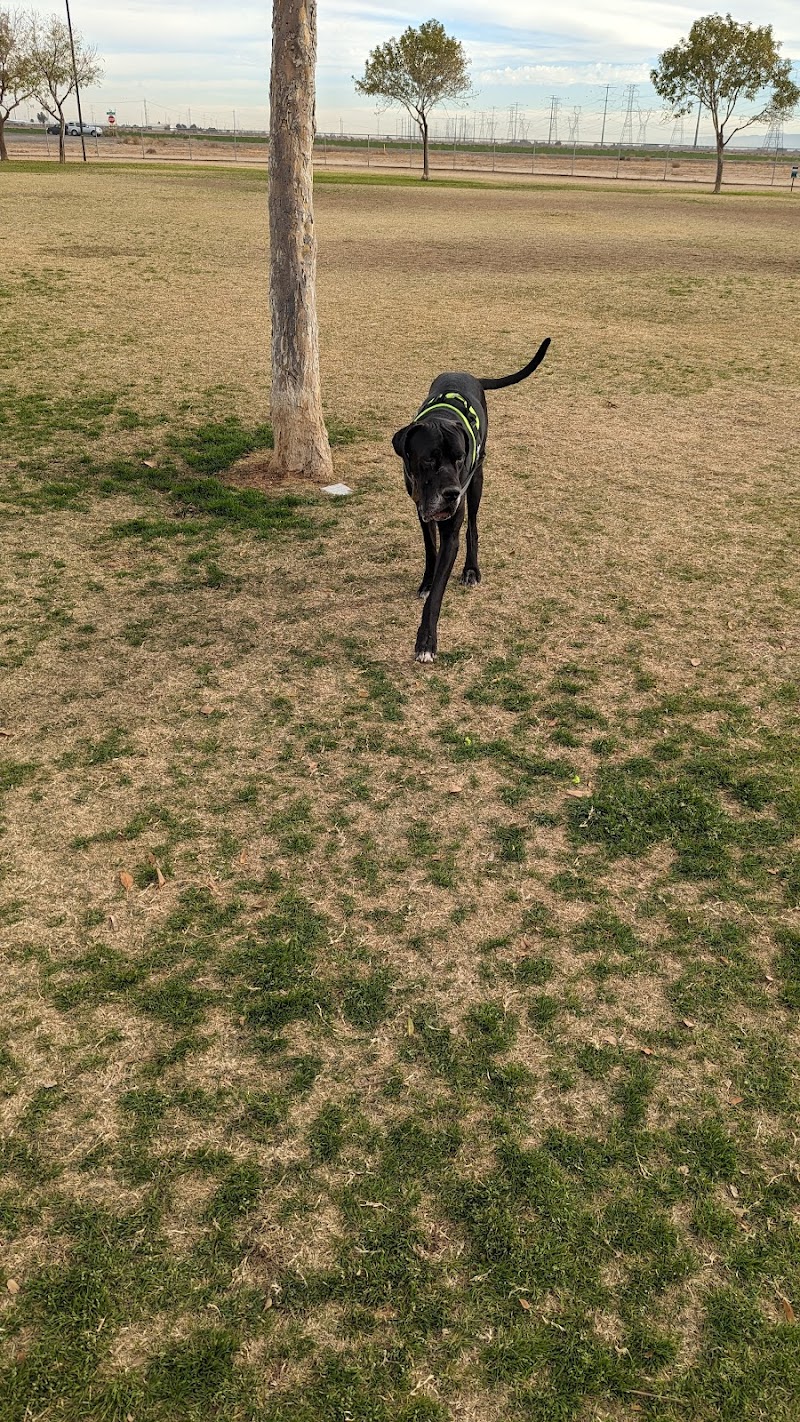 Roscoe, Goodyear, Dog Park - Goodyear, AZ