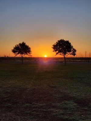 Roscoe, Goodyear, Dog Park