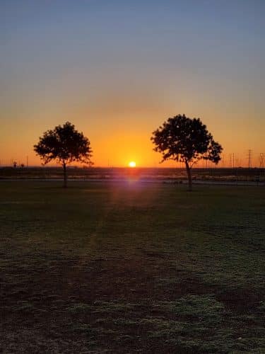 Roscoe, Goodyear, Dog Park