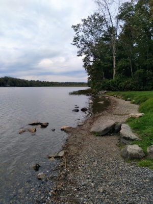 Dog Pond Public Boat Launch