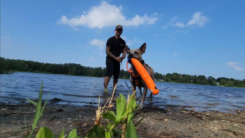 Dog Pond Public Boat Launch - Goshen, CT