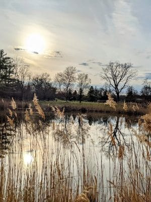 Goshen Dog Park