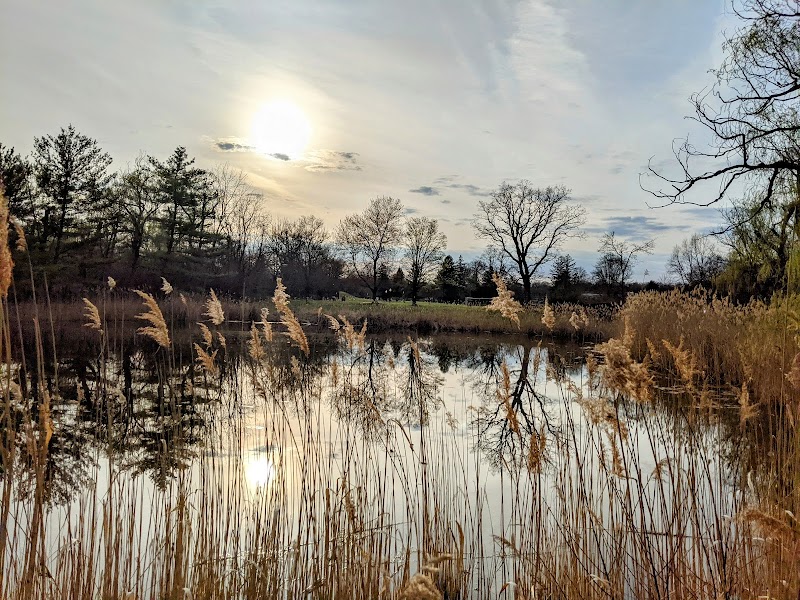 Goshen Dog Park - Goshen, NY