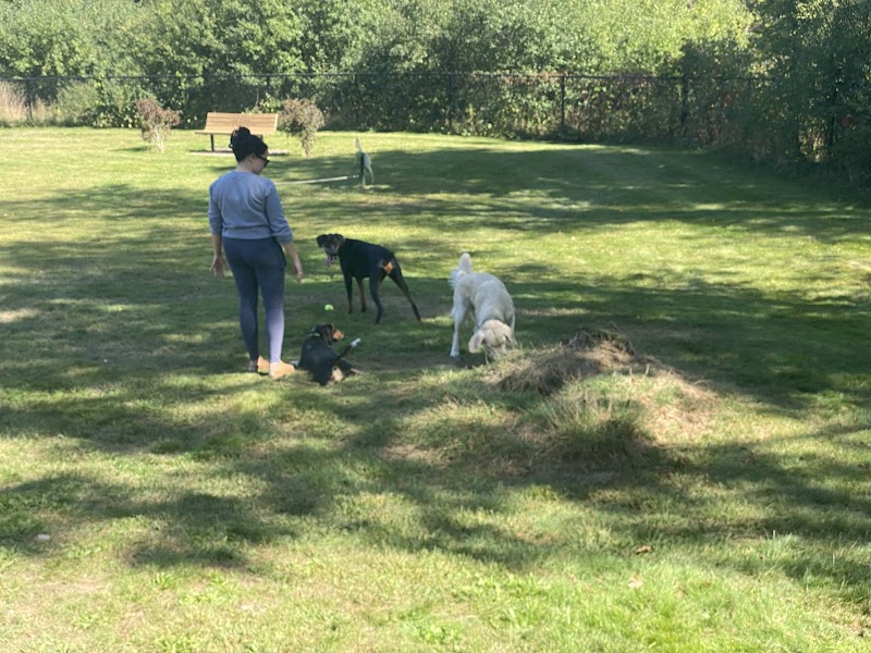 Goshen Dog Park - Goshen, NY