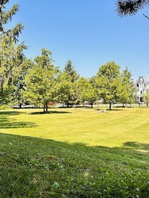Goshen Dog Park