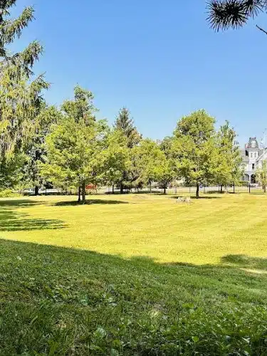 Goshen Dog Park - Goshen, NY