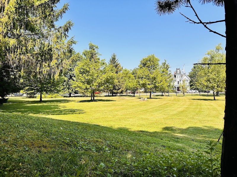 Goshen Dog Park - Goshen, NY