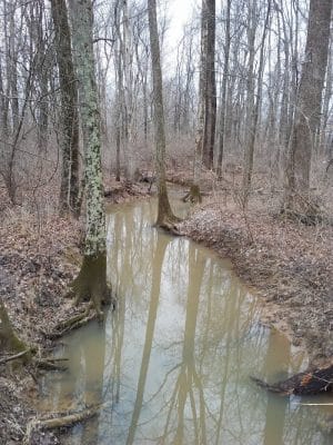 Flatwoods Park