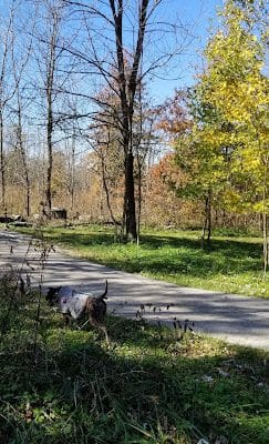 Flatwoods Park