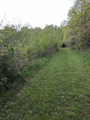Flatwoods Park