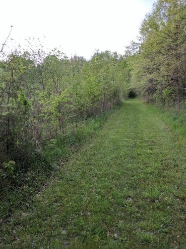 Flatwoods Park